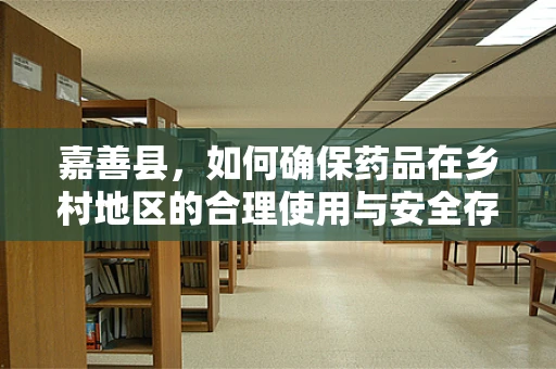 嘉善县，如何确保药品在乡村地区的合理使用与安全存储？