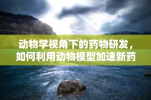 动物学视角下的药物研发，如何利用动物模型加速新药发现？