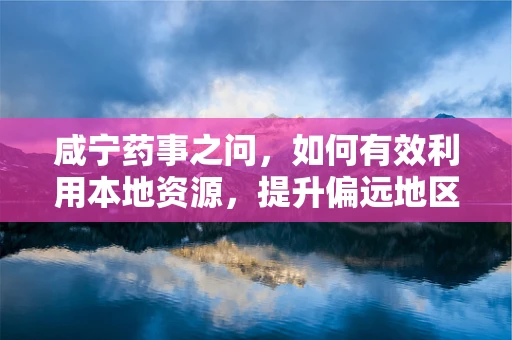 咸宁药事之问，如何有效利用本地资源，提升偏远地区药品可及性？