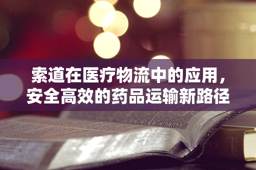 索道在医疗物流中的应用，安全高效的药品运输新路径？