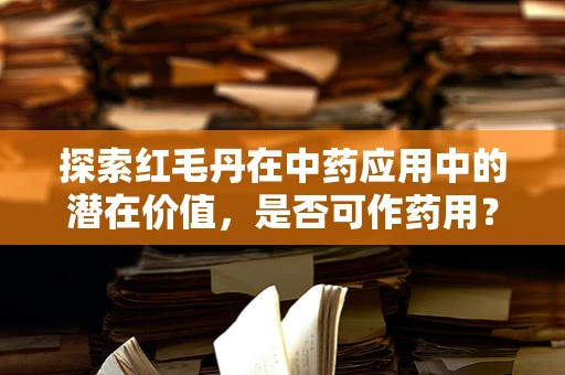 探索红毛丹在中药应用中的潜在价值，是否可作药用？