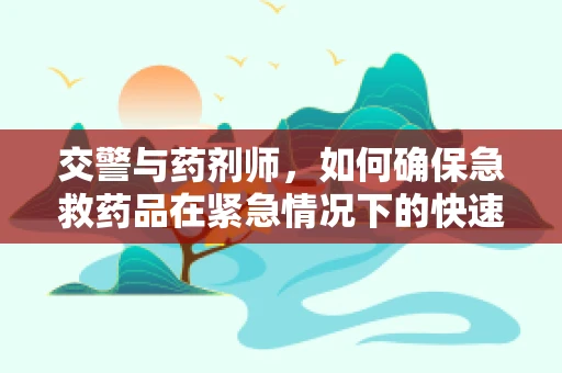 交警与药剂师，如何确保急救药品在紧急情况下的快速送达？