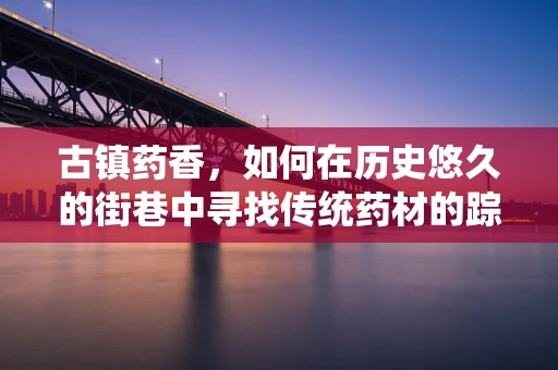 古镇药香，如何在历史悠久的街巷中寻找传统药材的踪迹？