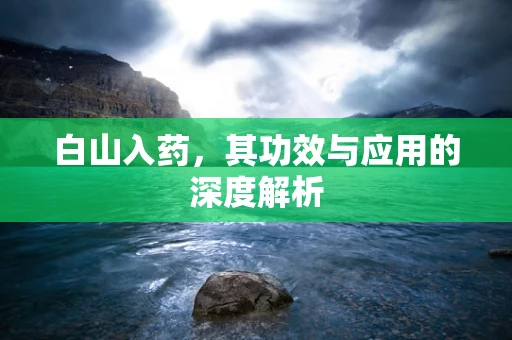 白山入药，其功效与应用的深度解析