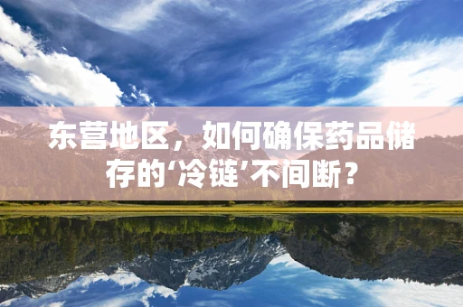 东营地区，如何确保药品储存的‘冷链’不间断？