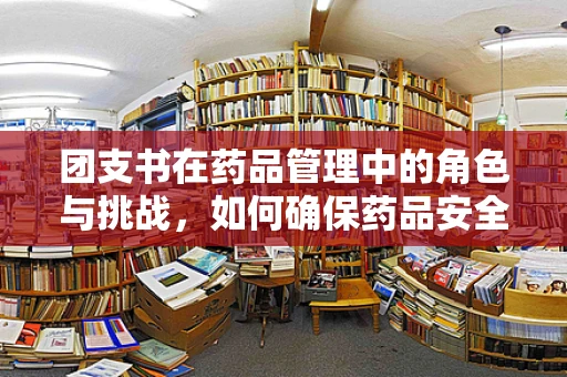 团支书在药品管理中的角色与挑战，如何确保药品安全与高效分发？