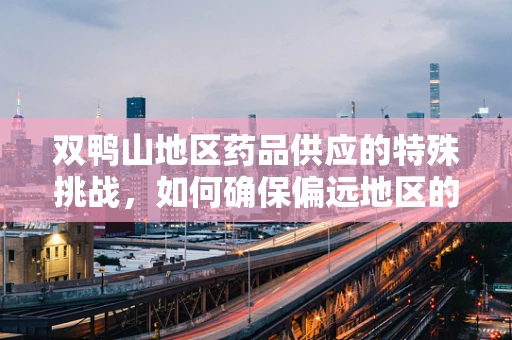 双鸭山地区药品供应的特殊挑战，如何确保偏远地区的药物可及性？