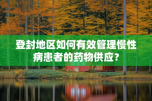 登封地区如何有效管理慢性病患者的药物供应？